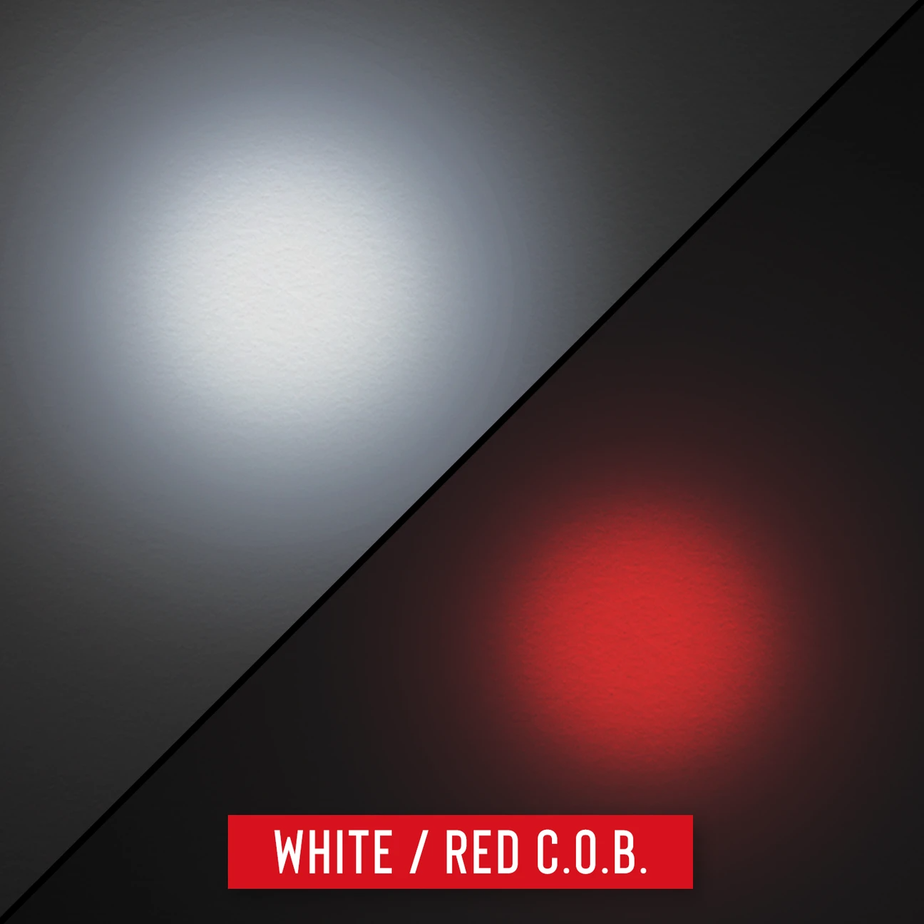 COAST G23 Inspeksjonslykt / Arbeidslys med magnet (120 lumen)