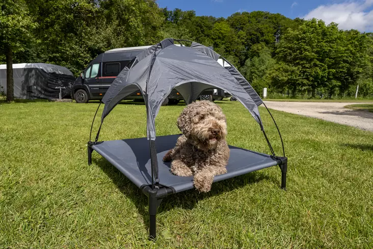 Hundeseng med soltak -  - 8020112593 - 1