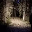 LED-lommelykt Ledwise Saint - Lommelykter - 8020103674 - 8
