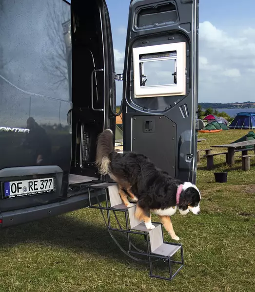 Sammenleggbare hundetrapper Jill -  - 8020112354 - 1