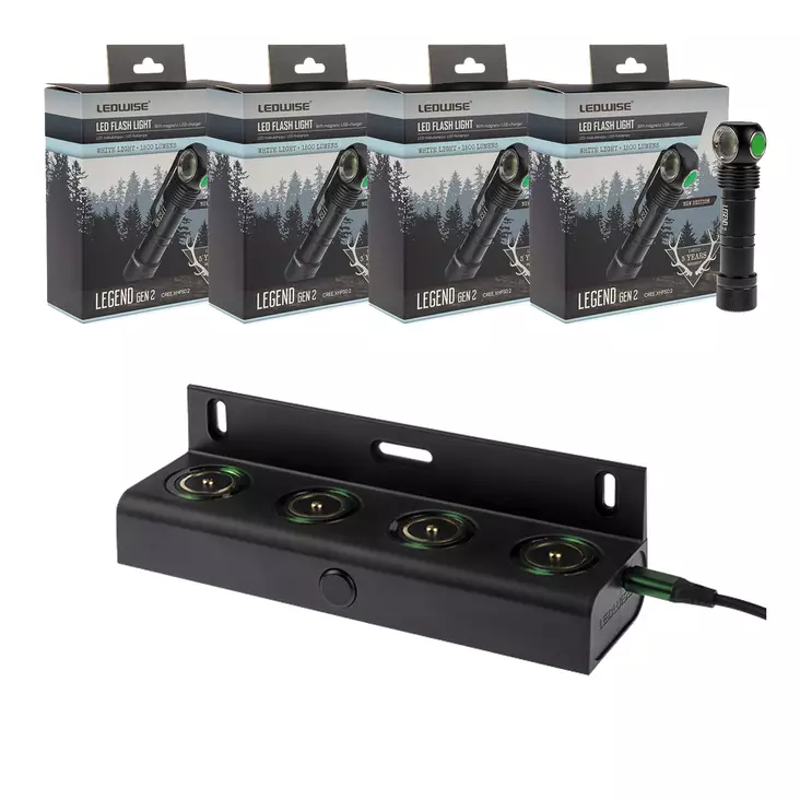 Ledwise Legend Gen2 X4 combo pack - Hodelykter - 8020107435 - 1